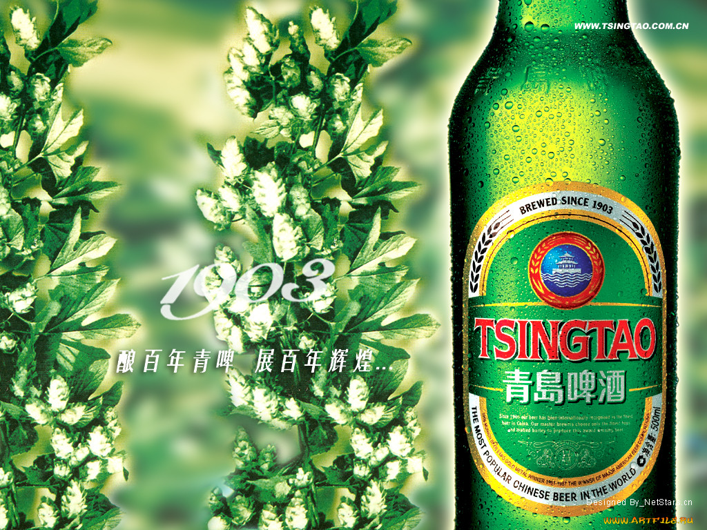 tsingtao, 